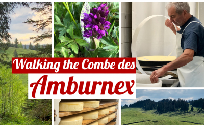 Walking the Combe des Amburnex