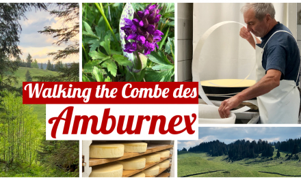 Walking the Combe des Amburnex